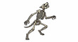 © Muhammad - skeleton of a werewolf skeleton