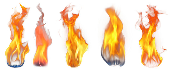 Wall Mural - png vibrant flames in motion, element set on transparent background