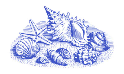 scalable vector illustration featuring a diverse collection of seashells and starfish, shell types—s