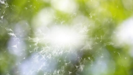 Wall Mural - digital lines and dots connection network on glowing bright blurred nature loop bokeh background.