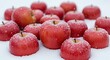 © BOMBABOM - Fresh red apples covered in frost resting on a bed of pristine white snow