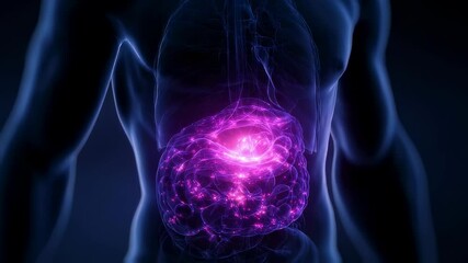 Wall Mural - detailed medical animation revealing anatomical disruption of hiatal hernia, depicting stomach protr