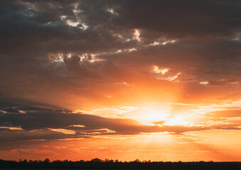 Wall Mural - Amazing Golden Sunset Sunrise Sky Background. Natural Bright Dramatic Sky In Sunset Dawn Sunrise. Warm Yellow And Orange Colors