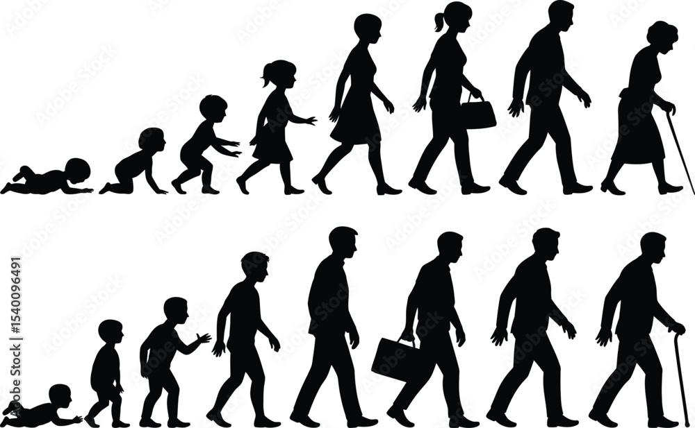 Silhouette illustration showing human life cycle stages of development ...