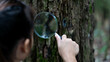 © Pornpimon - A happy little girl is exploring in the forest and looking for insects with a magnifying glass. Adventure tourism and learning concept.