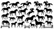 © Basecamp - Diverse Horse Silhouettes in Various Actions