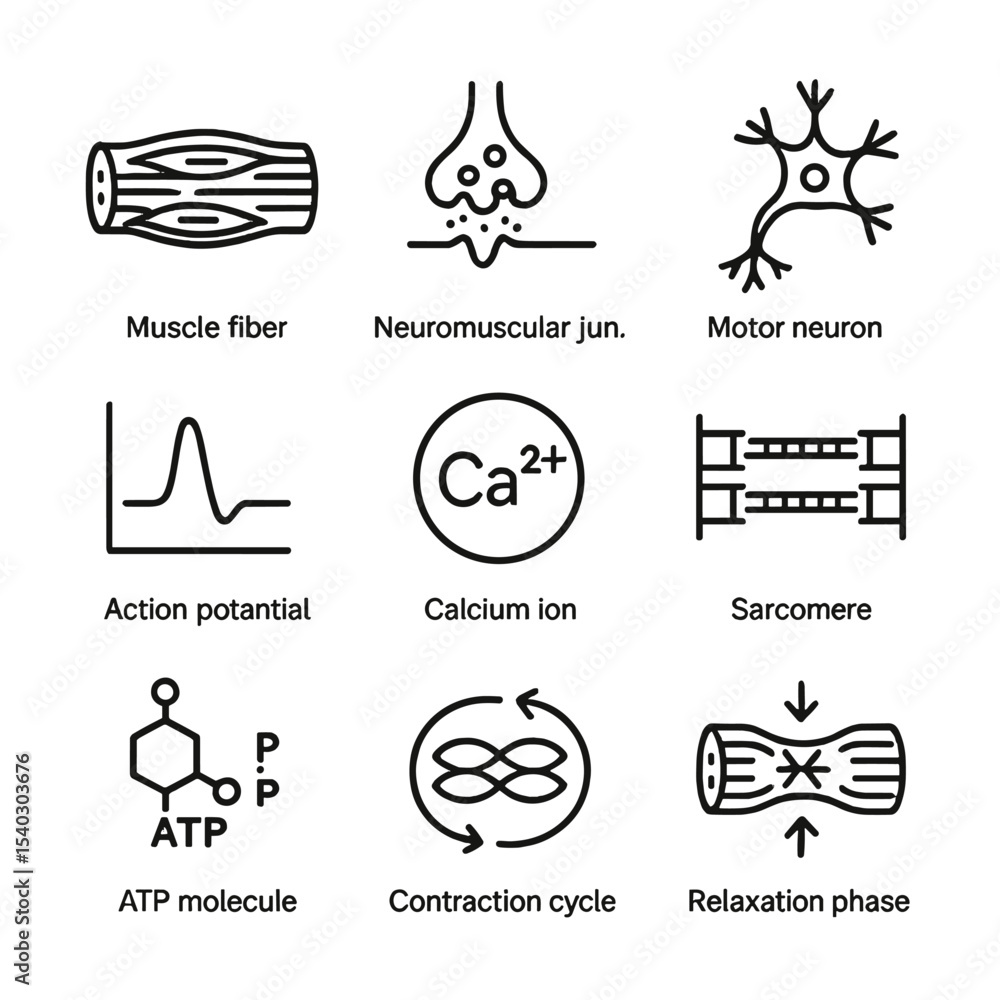 Muscle Cramps Icons. Outline icon set of physiology of muscle cramps ...