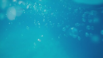 Wall Mural - Underwater Bubbles: A mesmerizing view of the sea's depths, where countless air bubbles dance in the serene blue. Experience the stillness of the ocean as bubbles float in the underwater world.