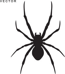 Spider Silhouette, Spider logo icon vector illustration on a white background