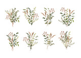 green brown leaves bouquet watercolor collection green brown leaves bouquet watercolor collection