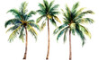 © john - Watercolor tropical palm trees with varied leaf structures isolated on white background vintage floral jungle