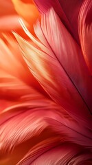 Wall Mural - digital technology red abstract feather wave illustration poster background