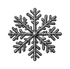 Wall Mural - detailed engraved snowflake illustration with black and white texture background