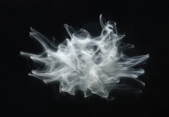Wall Mural - smoke on black background