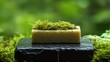 © AbdulSamad - A light beige/cream-colored bar of soap, nestled on dark stones, adorned with green moss.  Blurred green background of foliage