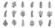© Viacheslav - Nature and botany outline icons set – linear, plant, foliage symbols