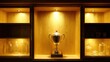 © Sawat - Brightly lit trophy case with single shining cup inside, symbol of rare and valuable success