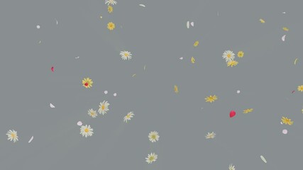 Wall Mural - burst of summer flowers flying outward on alpha with soft colorful petals