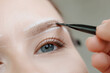 © Parilov - Closeup of eyebrow tinting and correction on caucasian female adult