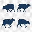 © Neelkanth studio 888 - Set of Sheep Silhouettes – Vector Collection of Farm Sheep in Various Poses for Agriculture, Livestock, and Animal Design Projects.