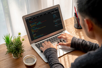 Wall Mural - software development programming on computer screen for modish application and program coding