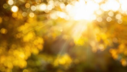 Wall Mural - warm golden sunlight bokeh with blurred autumn foliage and glowing rays ideal background for seasona