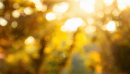 Wall Mural - warm golden sunlight bokeh with blurred autumn foliage and glowing rays ideal background for seasona