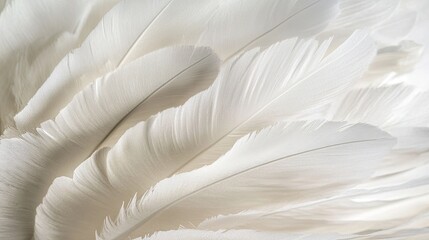High detail macro view of white feather shuttlecock on textured surface with soft shadows, showcasing fine feather texture, smooth curves, and sports object minimalism in a clean close-up composition
