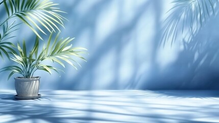 Wall Mural - a potted palm plant casts shadows on a smooth blue wall and floor, creating a serene, minimalist ind