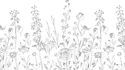 Botanical Hand-Drawn Wildflower Sketch