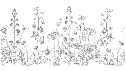 Floral Line Art Illustration of Wildflowers