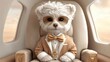 © Arnon  Parnnao - The rich cool pet influencer in a billionaire dream lifestyle luxury rich cool pet influencer living the billionaire dream lifestyle. Stylish dog flying in private jet. Opulent canine