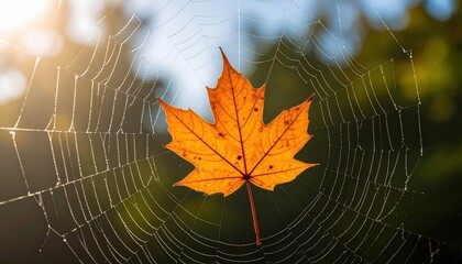 Autumn Leaf Caught in Sunlit Web: Delicate maple leaf stuck in spiderweb, backlit by golden sun. Symbolizes nature's intricate details, seasons change, vulnerability.