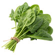 © Dylan Amistadi - bunch of fresh spinach isolated without background