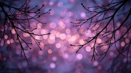 Canvas Print - dreamy purple bokeh background silhouetted branches winter twilight pink