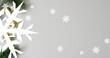 © vectorfusionart - Arranging white snowflake cutout pine branches and golden ornament on gray backdrop, copy space