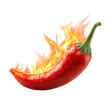 © MD - Fiery red chili pepper engulfed in flames water droplets glistening isolated on transparent background