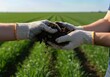 © NoelMatic - Close-up of a farmer's hands holding rich, fertile soil, checking its quality for planting in a green agricultural field. Concept of organic farming and sustainability.