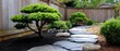 © Sonthana - relaxing backyard garden concept. Serene garden path with bonsai trees and stone walkway surrounded by wooden fence.