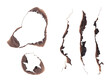 © MH - Set of Burnt Paper Elements PNG - Scorched Edges, Holes, & Strips; Grunge Texture Overlays, or Fire Damage Effects, fire brunt paper edges