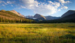 © Evander - meadow in rocky mountain national park