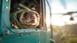 © svastix - An adorable animal peers out excitedly from a helicopter window, evoking a sense of adventure, curiosity, and the thrill of exploring new heights in a joyful display.