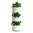 © AIPhoto - Modern plant stand with three white pots, showcasing lush green foliage, perfect for indoor decor and enhancing ambiance