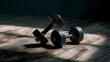 © Semuda art  - Dumbbells Resting on Wooden Floor in Sunlight for Fitness