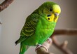 © Utopian Future - Vibrant green budgerigar perched on a branch, showcasing its colorful feathers