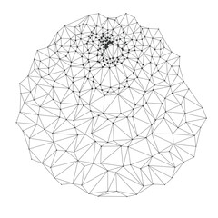 Wall Mural - modern geometric spiral cone wireframe pattern ideal for technology backgrounds, science presentatio