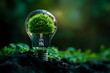 © imam - Eco friendly concept with a light bulb