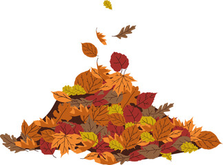 autumn leaf pile illustration