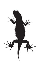 Wall Mural - Salamanders silhouette isolated in White background