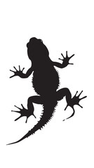 Wall Mural - Salamanders silhouette isolated in White background